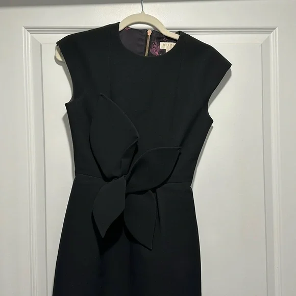 Ted Baker dress - Picture 3 of 12